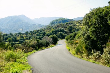 Countryside road in Kalamata, Peloponnese, southwestern Greece.