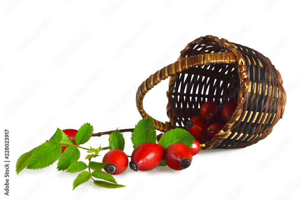 Sticker Rose hips in the basket