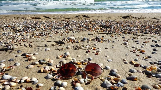 	Sunglasses on the sandy beach. Slow motion.