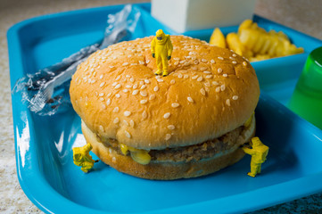 School Lunch Hazmat Health Inspection