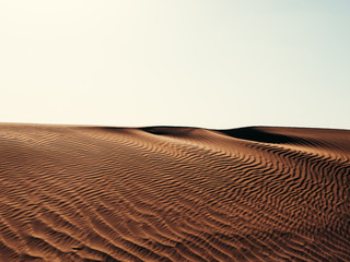 Sand Dunes in the Sahara Desert