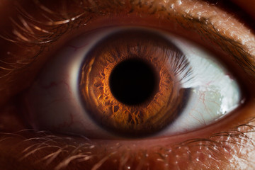 Beautiful brown eye wide open - Powered by Adobe