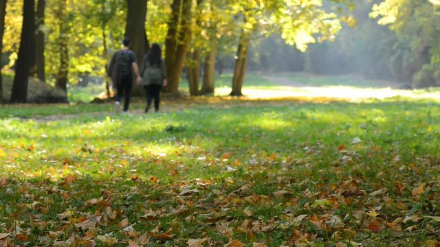 Pair of young people walking in the autumn park. Pan.