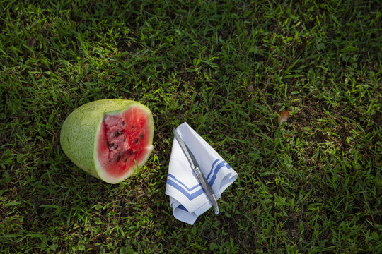 watermelon in grass