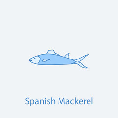 spanish mackerel 2 colored line icon. Simple light and dark blue element illustration. spanish mackerel concept outline symbol design from fish set