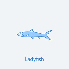 ladyfish 2 colored line icon. Simple light and dark blue element illustration. ladyfish concept outline symbol design from fish set