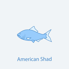 american shad 2 colored line icon. Simple light and dark blue element illustration. american shad concept outline symbol design from fish set