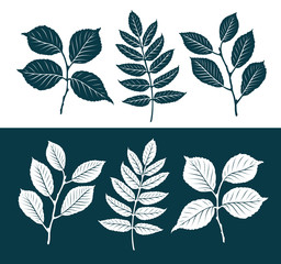 Decorative leaves set. Nature concept. Silhouette vector illustration
