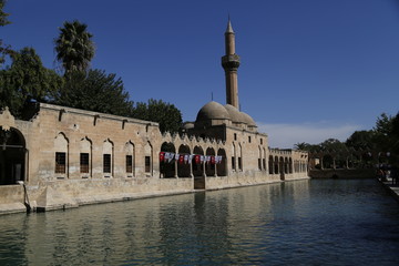 Halil-ur Rahman Mosque and Holy lake with sacred fish in Golbasi Park - Urfa, Turkey