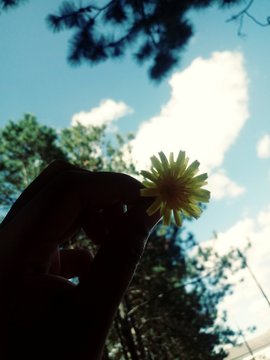 Um belo passeio no parque