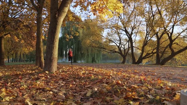 Woman runner running in fall autumn forest. Female fitness girl jogging on path in amazing fall foliage landscape nature outside. Slow motion.