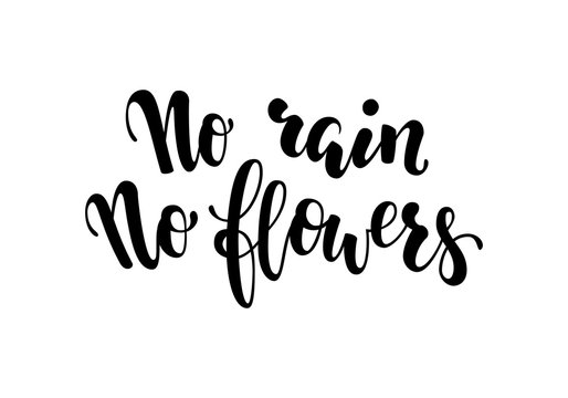 No rain no flowers postcard. Inspirational and Motivational Quotes. Hand Brush Lettering And Typography Design Art, Your Designs T-shirts, Posters, Invitations, Greeting Cards.