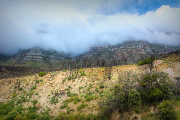 landscape in the mountains