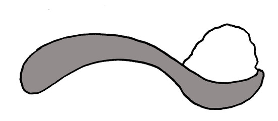 Illustration of a spoon with sugar, flour, salt or any other white thing