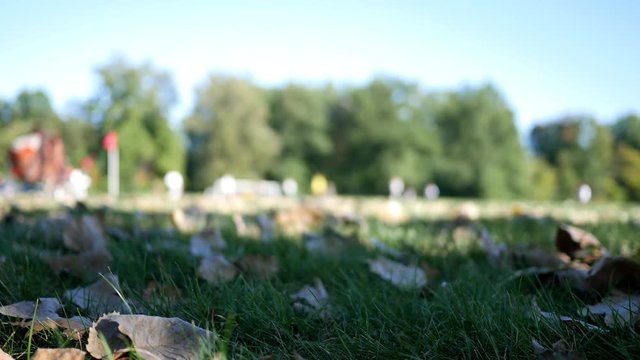 Defocused little league soccer game during fall 