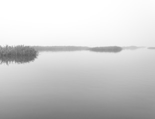 marshland in the foggy lake tai