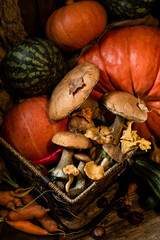 pumpkin mushroom and vegetables