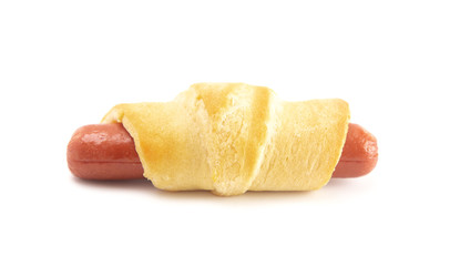 Pigs in the Blank Isolated on a White Background