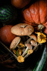 big mushroom in the basket