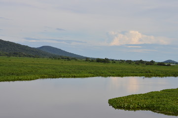 Pantanal