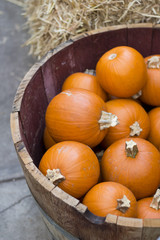 Pumpkins in a Wooden Barrel