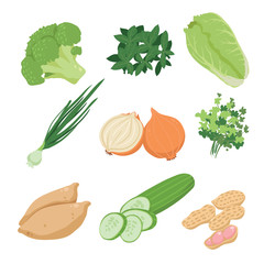 vegetable vector collection design