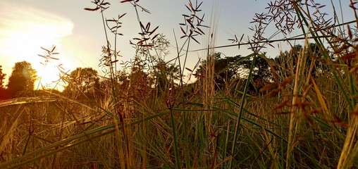 Evening at the beginning of winter in Thailand