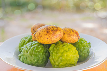 The soft focus of Porcupine Orange, Kiffir Lime, Leech Lime,Bergamot fruit