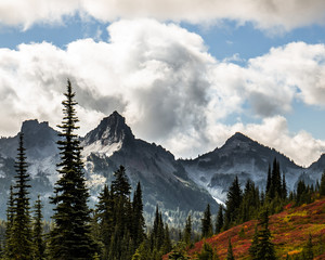 Mountain meadows in fall