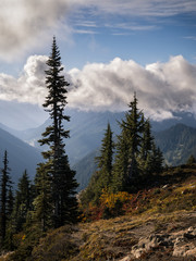 Obraz premium Alpine meadows in fall