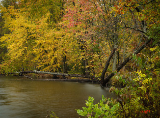 Autumn River
