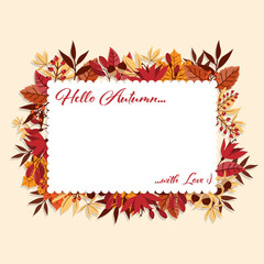 Autumn banner of Hello Autumn text and your copy space on white background with autumn leaf and berry branch frame.Vector illustration.