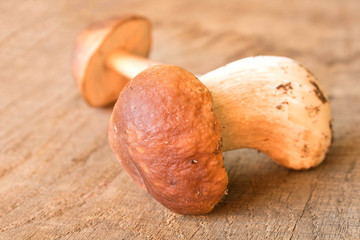 A boletus on an old oak table . Autumn. Mushroom picking