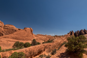 アーチーズの荒野
