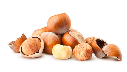 hazelnut isolated on white background, clipping path, full depth of field