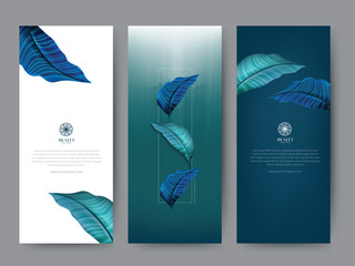 Branding Packaging tropical plant leaf summer pattern background, for spa resort luxury hotel, logo banner voucher, fabric pattern, organic texture. vector illustration.
