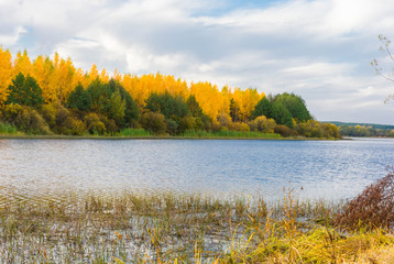 autumn landscape with river