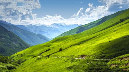 Foto op Aluminium Alpine vallei landschap. Landschap bergen op zonnige heldere dag. Berglandschap © dzmitrock87