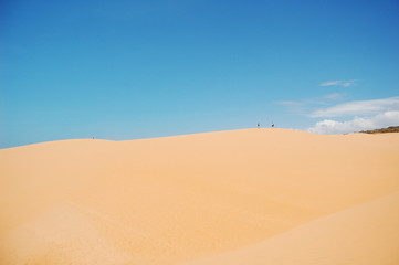 Fototapeta na wymiar ベトナムにある砂丘