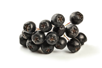 Detail on aronia (Chokeberry) fruits with stem, isolated on white background