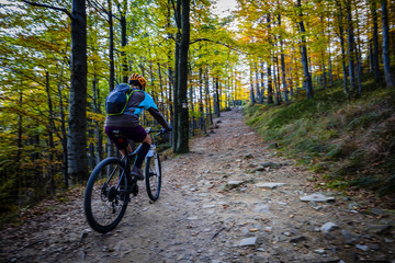 Fototapeta na wymiar Cycling woman riding on bike in summer mountains forest landscape. Woman cycling MTB flow trail track. Outdoor sport activity.