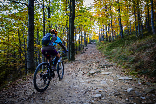 Cycling woman riding on bike in summer mountains forest landscape. Woman cycling MTB flow trail track. Outdoor sport activity.