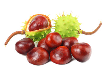 chestnuts isolated on white background. Healthy background.