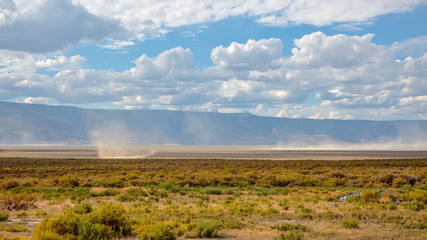 Obraz premium Small sand tornado a.k.a. Dust Devil at Summer Lake, Oregon
