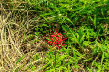 世界遺産　五箇山　相倉合掌集落