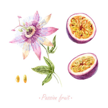 Watercolor Passion Fruit Set