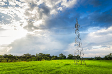 High voltage pole and powerlines on the field.