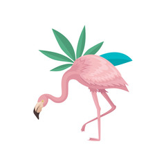 Beautiful flamingo and leaves of two tropical plants. Bird with gentle pink feathers, long neck and legs. Flat vector design