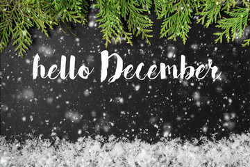 HELLO DECEMBER greeting card. concept of the fall season. © mars58