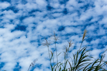 世界遺産　五箇山　相倉合掌集落